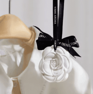 Wardrobe Gypsum Fragrance Plate
